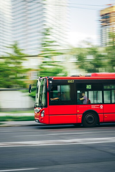 Red bus on leafy street