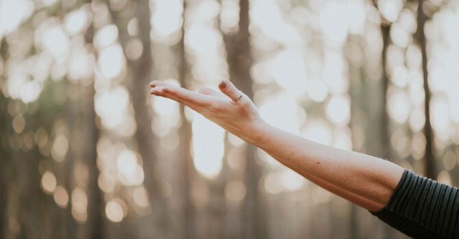EMDR - Trauma Therapy
